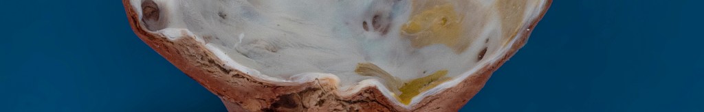 Quiste esplénico verdadero